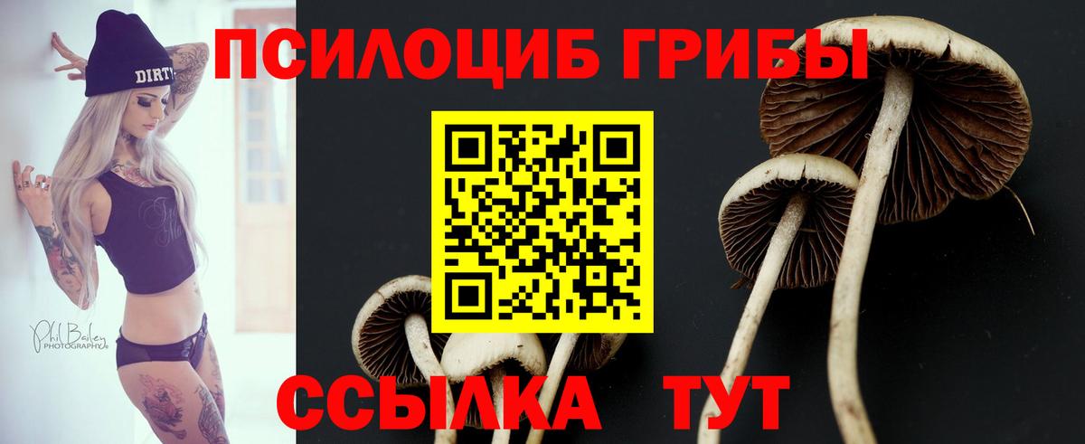 Псилоцибиновые грибы GOLDEN TEACHER Гусиноозёрск